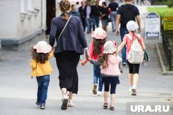 Воспитание будущих налогоплательщиков не менее важно, чем формальное трудоустройство