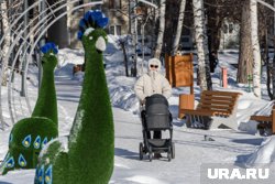 В Нижегородской области введут «зарплаты» для родителей, увеличив региональные выплаты