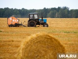 С начала уборочной кампании в Челябинской области собрали 279 тысяч тонн сена, сенажа и силоса