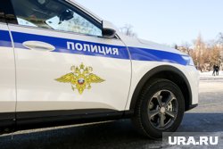 Полиция продолжает патрулировать город в поисках медведя