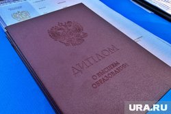 Обвиняемая получила взятки за написание выпускных работ, положительные отзывы и допуск к защите