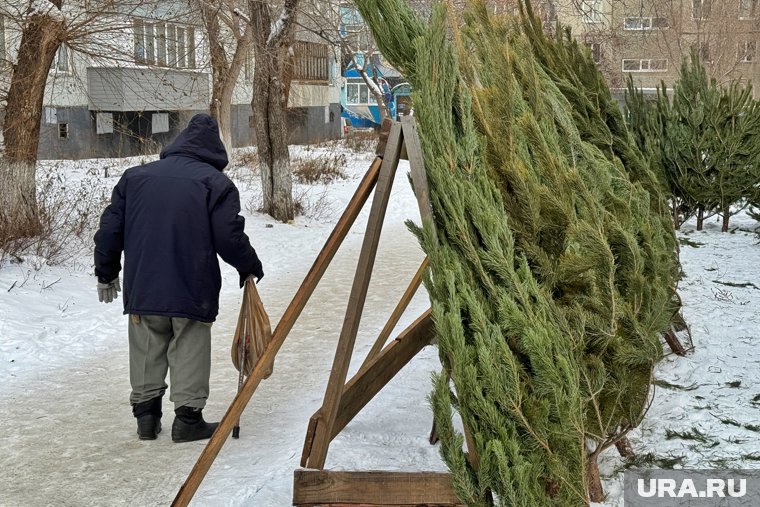 Купить елки в Кургане можно будет с 15 декабря на новогодних базарах