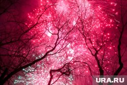 12 июля 2025 отмечается множество праздников