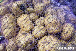 Грузинский картофель также в больших количествах приобретает Азербайджан и Армения 