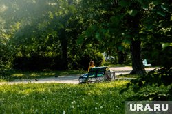 Там запланировано обновление центральной аллеи