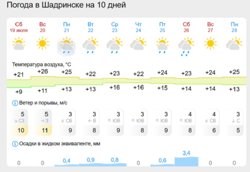 Погода на 10 дней