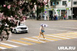 Водитель не уступил дорогу пешеходам