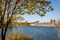 За шесть лет в Магнитогорское водохранилище было выпущено более 923 тысяч особей молоди сазана