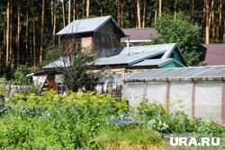 Почти все участки предназначены для садоводства