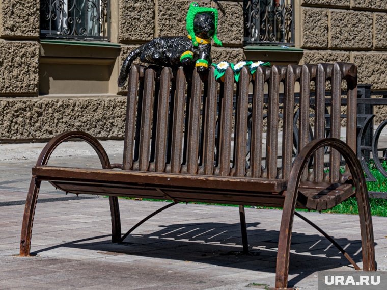 Заботливые пермяки оберегают кошку даже в летний зной