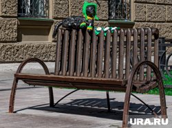 Заботливые пермяки оберегают кошку даже в летний зной