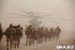 Американцы обвинили Трампа в том, что он упразднил День ветеранов 11 ноября