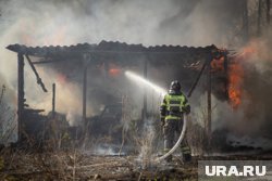 Пожар начался из-за поджога тополиного пуха (архивное фото)