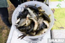 Рыбалка была удачной