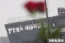 Иски после теракта в Подмосковье направили несколько десятков человек