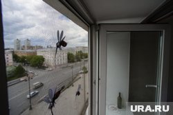 Чтобы не заразиться вирусом Западного Нила, следует установить на окна москитные сетки 