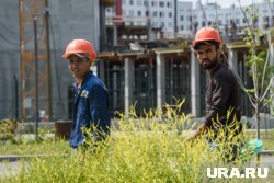 Экзамен по русскому языку мигранты сдают при получении определенных документов