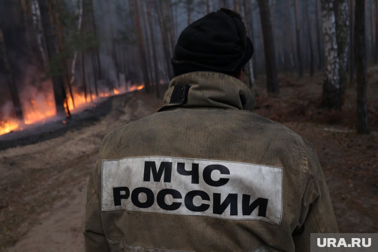 В лесах Сургута установлен особый противопожарный режим