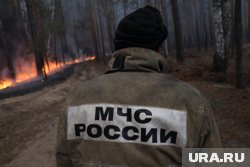 В лесах Сургута установлен особый противопожарный режим