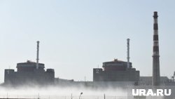 Украина вывела из строя большую часть линий энергоснабжения ЗАЭС