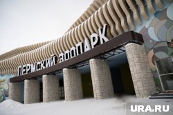 В Пермский зоопарк привезли новых животных