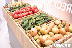 Минпромторг предложил фиксировать вилку цен на овощи борщевого набора