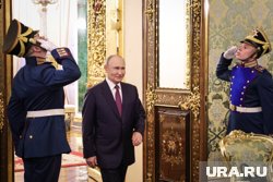 Путин и Утикофф встретились в Кремле в рамках рабочих переговоров (архивное фото)