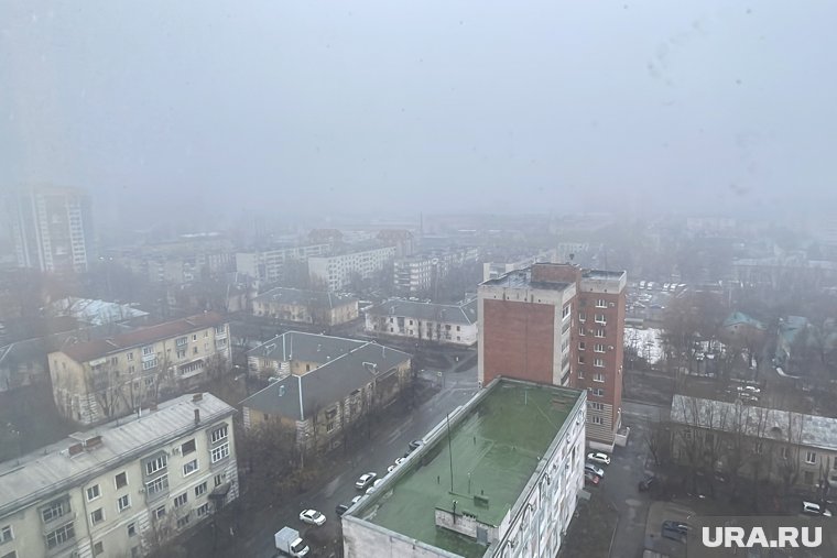 Туманы прогнозируются в ночь на 15 августа 