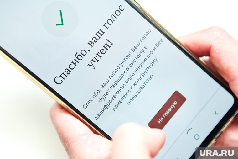 Курганцы смогут проголосовать на выборах с телефона