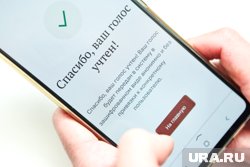Курганцы смогут проголосовать на выборах с телефона