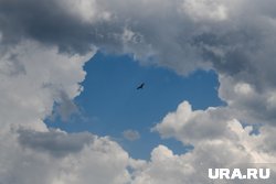 Дождь будет поливать всю неделю, возможны грозы