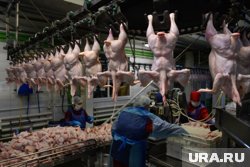 В партии с птицефабрики казахстана нашли бактерию, на предприятии могут провести проверку
