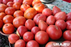 Стоимость помидоров упала более чем на 10% в Курганской области