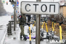 Володин назвал недостаточно качественными предлагаемые правительством решения по самокатам