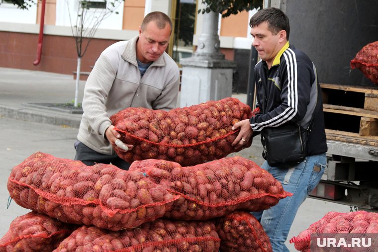 Агроагрегаторы будут помогать фермерам сбывать продукцию 