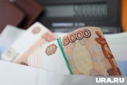 Директор завода не платил зарплату 26 сотрудникам в Шадринске