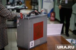 В Челябинской области лидирует партия «Единая Россия»