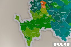 Никарагуа официально признала новые регионы и выразила поддержку России