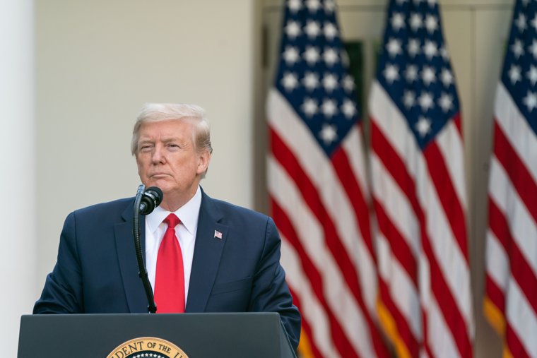 Трамп согласился с Путиным, что Донбасс должен перейти под контроль РФ