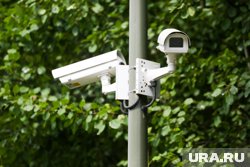 С помощью оповещения операторы могут лично обратиться к людям на остановке