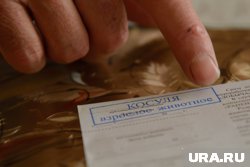 Цена лицензии на косулю зависит от возраста и, соответственно, размера животного