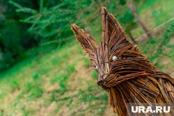 Лис встретит вас на опушке леса