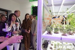 Свердловской элите показали комнатную ферму