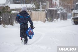 В морозные дни школьники России смогут не ходить на уроки