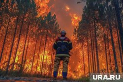 От Тюменской области на помощь в Бурятию направили 50 специалистов 