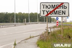 Животные выходят на дорогу на загородных трассах