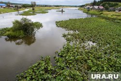 Спа-комплекс планируют построить на берегу реки Чусовой