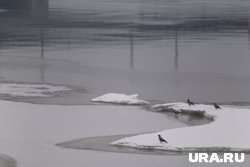 Судно построили в 2014 году на Ярославском заводе
