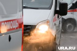 Шесть человек пострадали в аварии Ростовской области (архивное фото)
