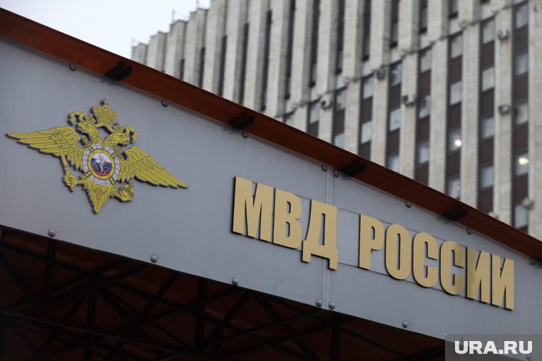 Информация о розыске иноагента Максима Резника появилась на сайте МВД